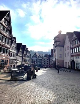 Ein Juwel * denkmalgeschützes Mehrfamilienhaus - Calw