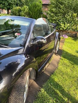 VW Beetle Cabrio - Rosendahl