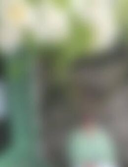 Som*** - Heroldsberg