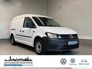 VW Caddy, 2.0 TDI Maxi, Jahr 2020 - Rostock