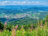 Platz ohne Ende - Das besondere Einfamilienhaus in Bodenmais! - Bodenmais