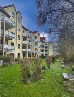 Appartement im Grünen! - Freiberg