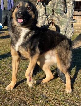 DEX ❤ EILIG! - Langenhagen