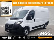 Fiat Ducato, 35 Kasten L2H2 Serie 9 # #ALLWETTER, Jahr 2024 - Weiden (Oberpfalz)