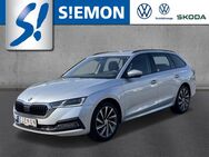 Skoda Octavia, Combi TDI FirstEdit, Jahr 2020 - Warendorf