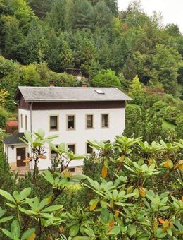 Ärmel hochkrempeln lohnt sich! - Bad Schandau