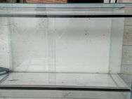 Glasterrarium , 80x50x50 cm zu verkaufen - Herxheim (Landau)