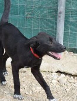 Mali- voller Energie und Lebensfreude - Eixen