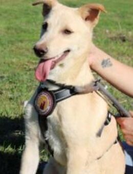 Vorsichtiger Tjark sucht sicheren Hafen - München