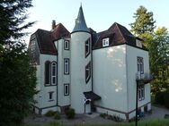 Traumhaftes Villenanwesen mit ca. 8900 m² parkähnlichem Garten in Betlage von Baden-Baden - Baden-Baden