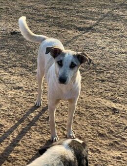 Thore möchte endlich ankommen - Celle