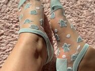 Getragene durchsichtige Socken 2 Tage getragen 🌸 - Krefeld