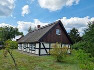 Fachwerk unter Rieth am Stettiner Haff - Ueckermünde Zentrum