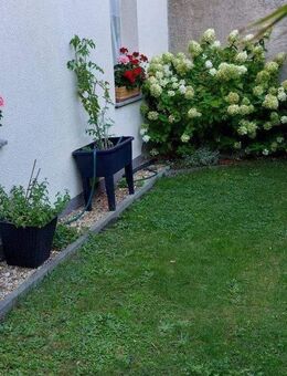 Einfamilienhaus am Markt in Rothenburg O.L. - Rothenburg (Oberlausitz)