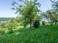 Villengrundstück in top Aussichtslage - Tübingen