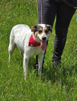 NELLY ist äußerst freundlich zu ALLEN♥️ - München