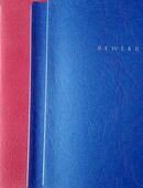 Konvolut Bewerbungsmappen, - die klassische Form, Bewerbungsunterlagen zu präsentieren in 57572