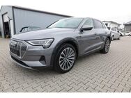 Audi e-tron 55 quattro advanced Vollleder - Schifferstadt