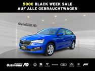 Skoda Scala, Cool Plus 85kw TDI, Jahr 2019 - Niestetal