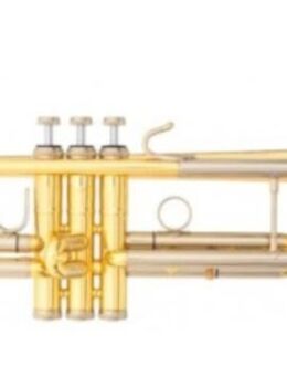 B&S Challenger Profi Trompete aus Goldmessing Mod. 3137G-L. Neuware - Hagenburg