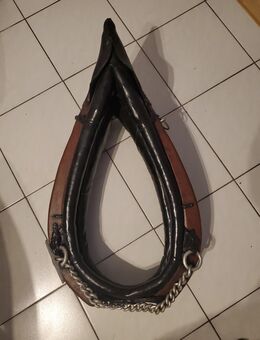 Pferde-Zuggeschirr restauriert - München