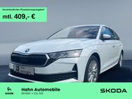 Skoda Octavia, 2.0 TDI Combi Ultimate 150, Jahr 2024 - Kornwestheim