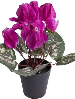 Kunstblume Alpenveilchen, Botanic-Haus, Höhe 24 cm