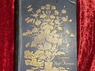 Elizabeth Gaskell CRANFORD 1891, Erste Ausgabe - Berlin Reinickendorf