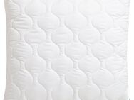Beco Kopfkissen EcoWell, Füllung: Polyester, Bezug: Bio-Baumwolle oder Microfaser-Feinbatist samtweich, Rückenschläfer, Seitenschläfer, Kissen in den Größen 40x80 cm und 80x80 cm erhältlich!