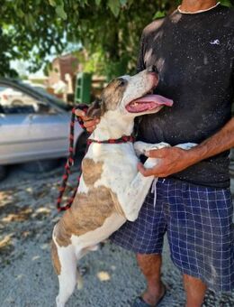 Hallo ihr da ! Ich bin Alf - Overath