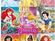 Reinders! Poster Disney`s Prinzessinnen Kollage, (1 St)