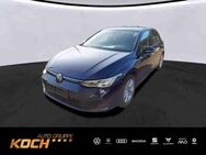 VW Golf, 2.0 TDI VIII Life, Jahr 2020 - Insingen