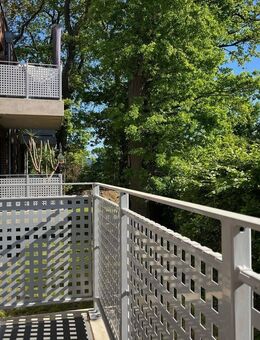 2-Zimmer Wohnung in Hasbergen mit Balkon & TG-Stellplatz! - Hasbergen