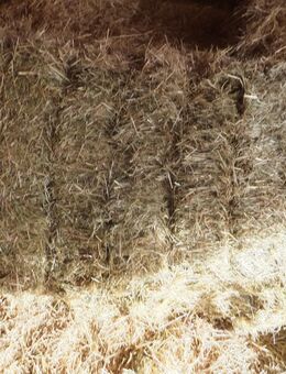 Heuballen - Altenburg