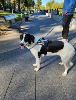 Soso - freundliche, angenehme junge Dame - Berlin