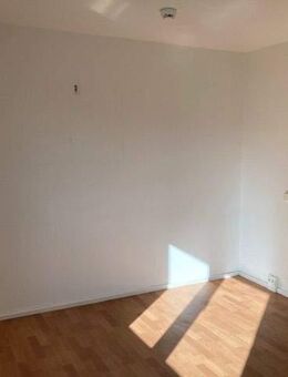 Nachmieter gesucht! - Dessau-Roßlau