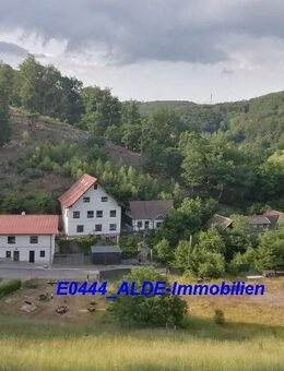 Idyllische Familienresidenz & Investitionsobjekt für Fitness & Tourismus im Harz, Berge & Wald, großes Grundstück - Südharz