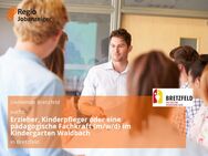 Erzieher, Kinderpfleger oder eine pädagogische Fachkraft (m/w/d) im Kindergarten Waldbach - Bretzfeld