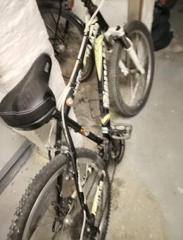 MTB jungen Fahrrad 24 zoll - Hückelhoven