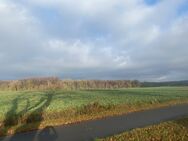 REH sanierungsbedürftig --- Idylle pur - nahe Malchiner See - inkl. Baugrundstück - Teterow