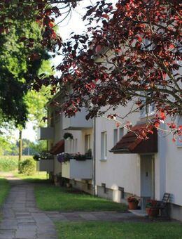 Dachgeschoss-Idylle: Ruhe und Gemütlichkeit vereint - Bielefeld