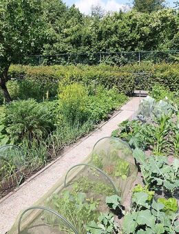 Garten zum Kauf in Mainz gesucht - Mainz