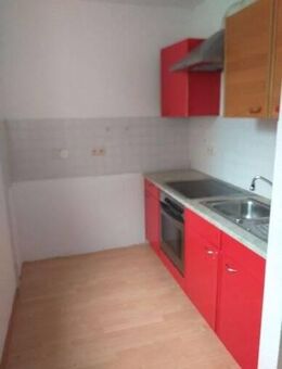 Hübsches Single-Appartement in ruhiger Lage zu vermieten - Frielendorf