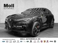 Alfa Romeo Stelvio Quadrifoglio Q4 2.9 V6 Bi-turbo EU6d QUADRIFOGLIO - ASSISTENT - 21 ZOLL - PANO - ALARM - Aachen