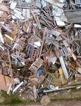 Holz - Brennholz - zu verschenken - Bad Doberan