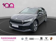 Skoda Enyaq, 60 Elektro KLAU, Jahr 2024 - Euskirchen