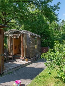 Traumhaftes Wohnen im Wald, nur 2 Nachbarn + Fuchs und Igel. Außergewöhnliches REH in Alleinlage. - Neustadt (Rübenberge)