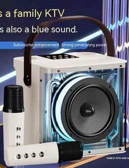 Bluetooth Karaoke Lautsprecher mit 2 Mikrofonen USB MicroSD AUX - Berlin Neukölln