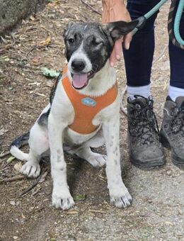 Soziale kinderliebe GERI sucht ♥️ - München