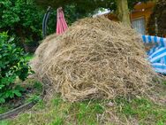 Heu – 120l Sack oder kmpl. ,erste Mahd 2025 (2 m³) - Döbeln